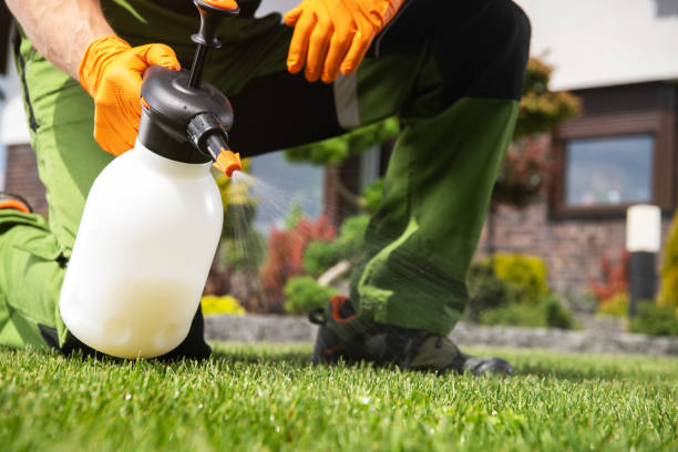 Best Commercial Pest Control Services  in Morgantown, IN