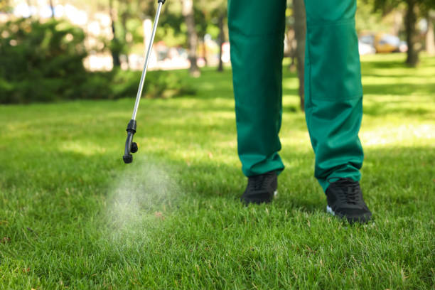 Best Pest Control for Restaurants  in Morgantown, IN