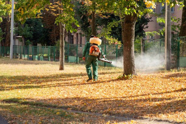 Best Residential Pest Control  in Morgantown, IN